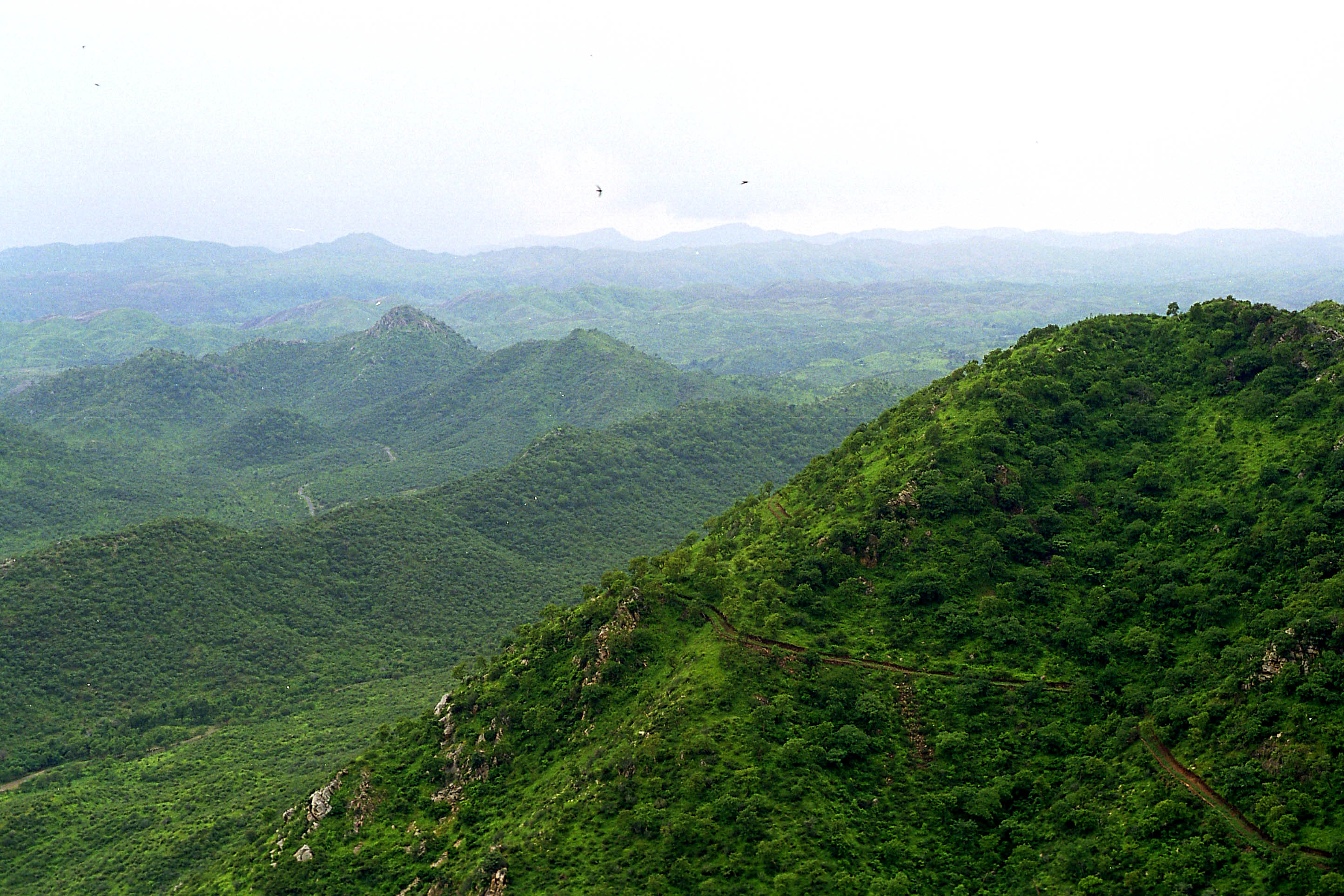 Aravalli mountain range landscape